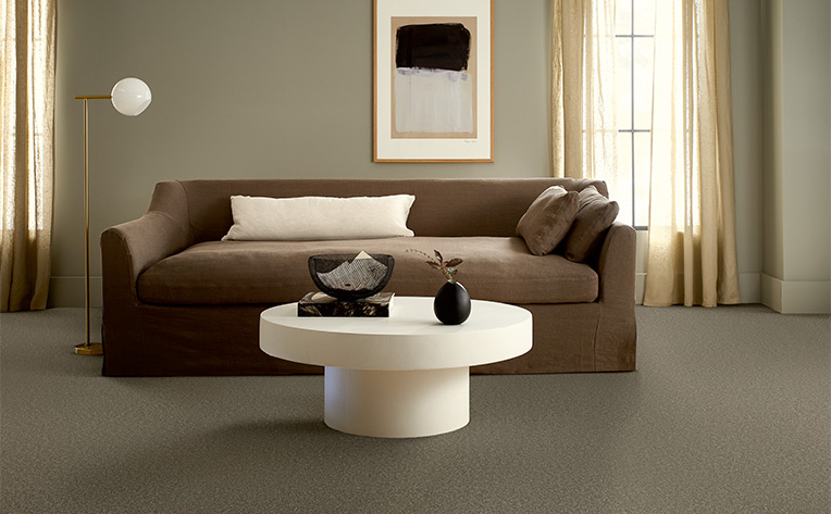 dark grey carpet in living room