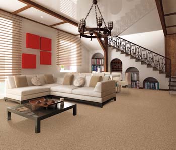 Carpet Flooring in Gretna, LA 